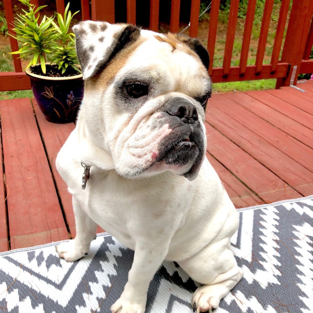 Meet your Posher, Andrew